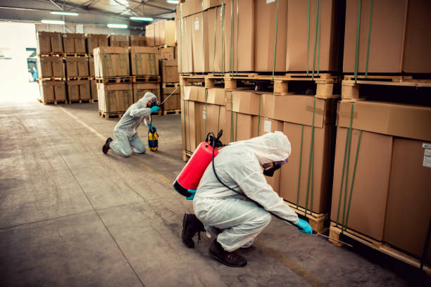 Best Pest Removal Services  in Warminster Heights, PA