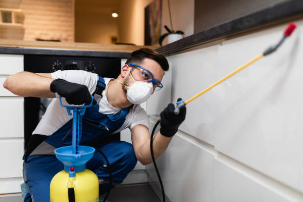 Best Exterminator Services  in Warminster Heights, PA