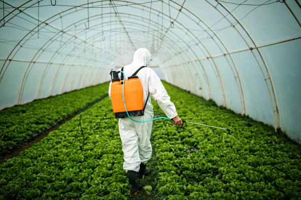 Best Best Pest Control Companies  in Warminster Heights, PA