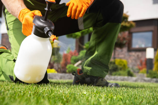Best Pest Removal Services  in Warminster Heights, PA