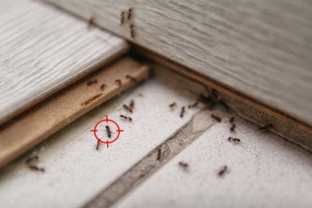 Best Wildlife Control Services  in Warminster Heights, PA