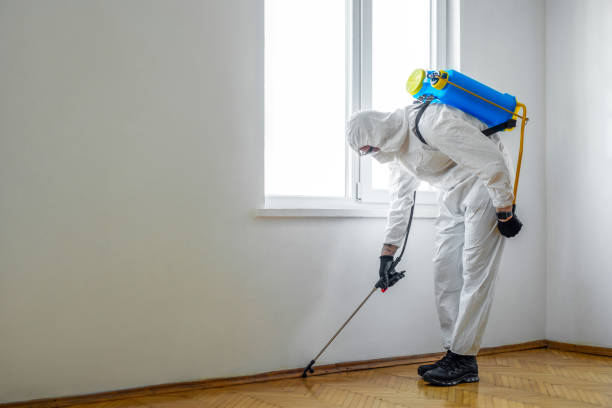 Wasp Removal Services in Warminster Heights, PA
