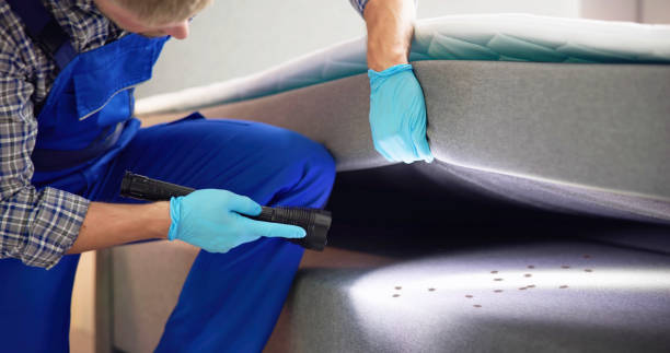 Best Pest Control Near Me  in Warminster Heights, PA