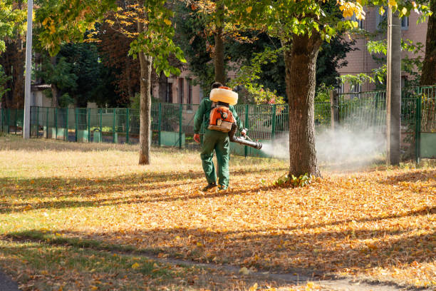 Best Affordable Pest Control Services  in Warminster Heights, PA