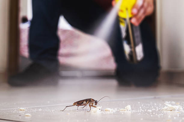 Best Rat Extermination Near Me  in Warminster Heights, PA