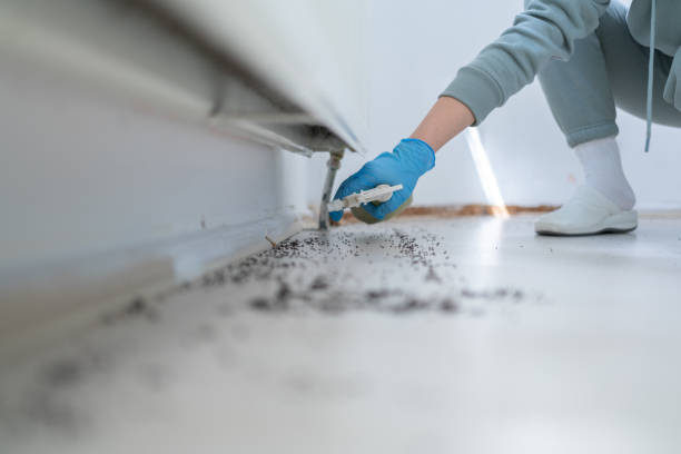 Best Cockroach Control Services  in Warminster Heights, PA