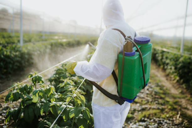 Best Local Pest Control Services  in Warminster Heights, PA